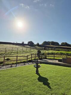 Gardens &amp; Paddocks - 1.2 acres