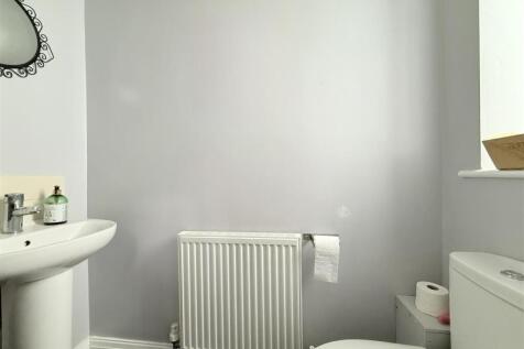 IMG_3791.jpeg