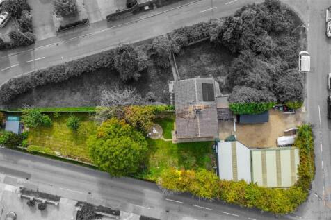 40 rose la -24.jpg