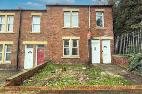 IMG 2272 T202602141811.jpg