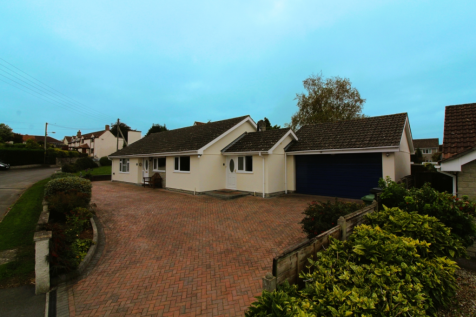 Untitled design (59)