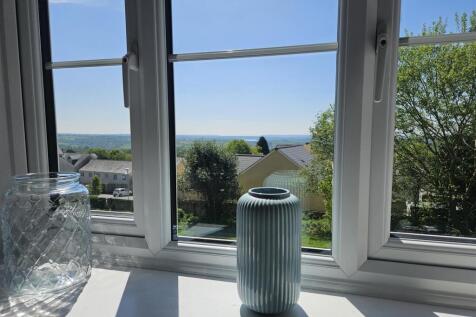 View from Kitchen.jpg