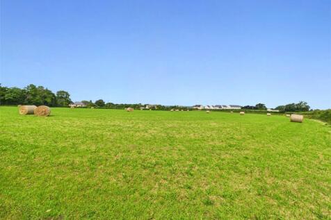 Field