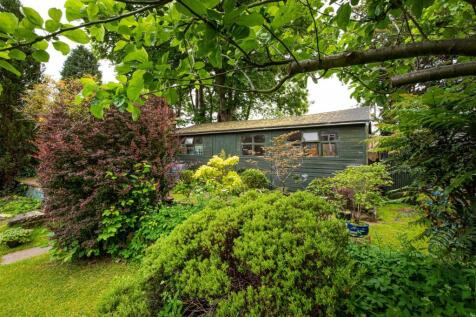 49 Canterbury Road-gdn3.jpg