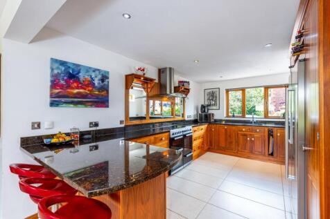 Dining/Lounge/Kitchen