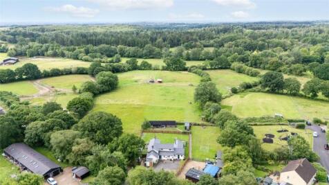 Picture No. 18