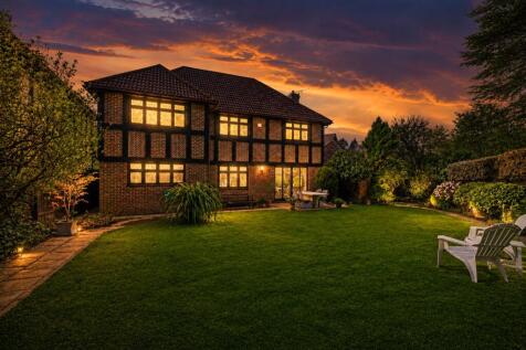 Rear Twilight