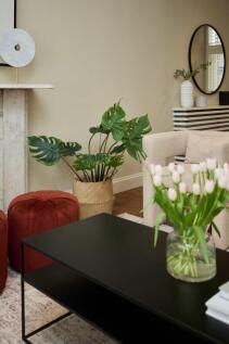 ihpzxbgq7ujlcntxbxqm