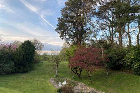 fern hollow back 2.jpg