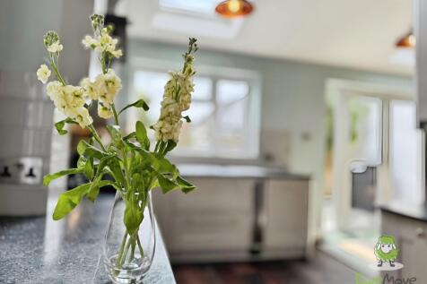 1b02cabc-bfe24d3b-2428-4ce5-a45b-f0c3efaa7ab1