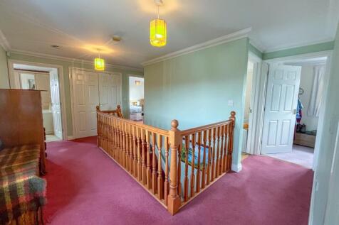 tlc_fddb9de4-b8cd-4806-8259-40f325a04b08_320bdb7.j