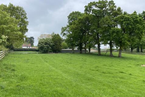 Field by sep neg.jpg