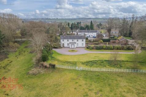 20250321-20250321-DJI_0164-Edit (2).jpg