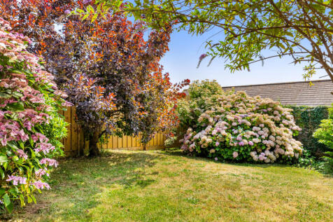 6 Garden