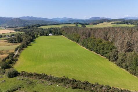 Lot 3 - Wester Moy