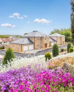 Property Image 54