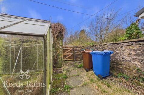 Rear Yard