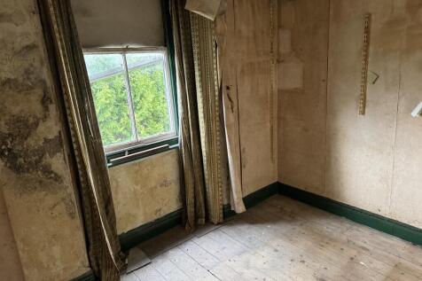 IMG 8772 T202510281145.jpeg