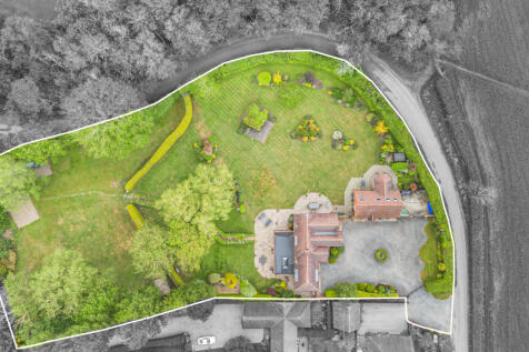 Elevated Plan