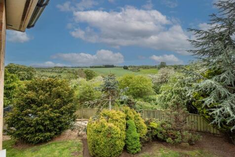39 Caldey Gardens-14 copy.jpg
