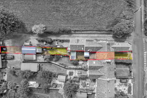 Plot View