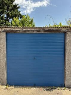 IMG_7312.jpeg