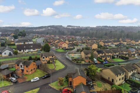 Ariel View