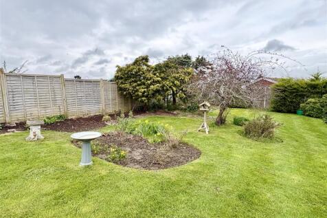 IMG_9852.jpeg