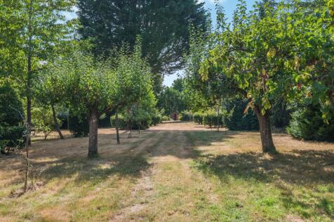 Property Image 43