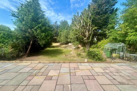 Back garden 3.jpg