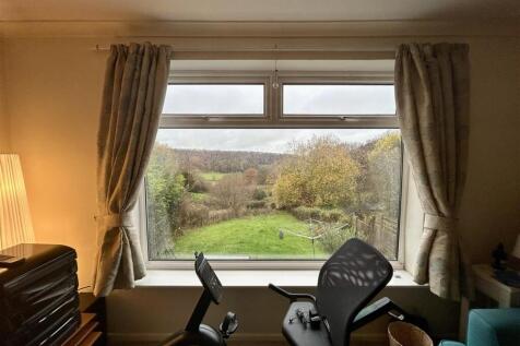 View from Living Room