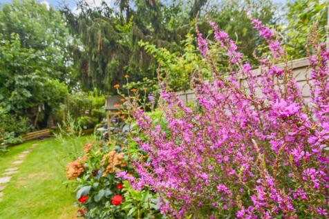 External Lifestyle Photograph