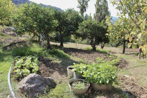 Property Image 46