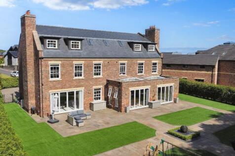 Elevated Rear External II