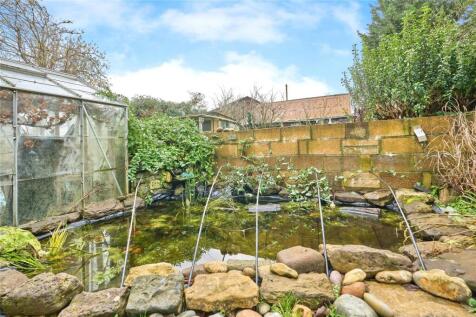 Pond