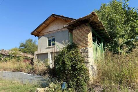Side perspective of the old house with surrounding overgrown plants and a small brick outbuilding with tiled roof.