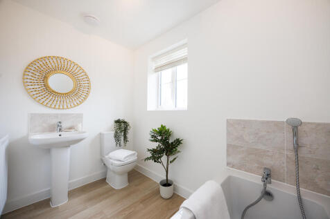 VDSW BH SPRUCE SH (48)