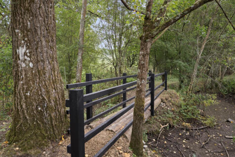 Country Walk