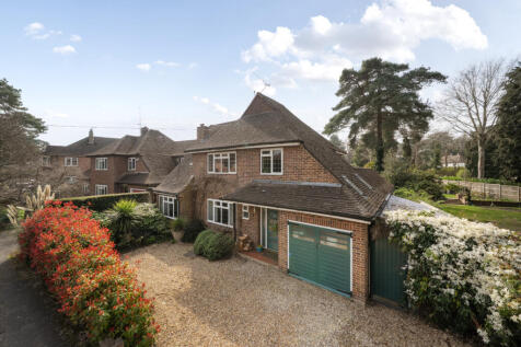 Picture 21
