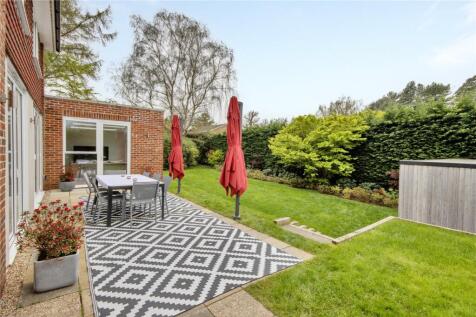 Terrace and Garden