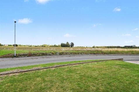 Open Field Views