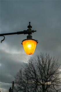 Picture No. 21