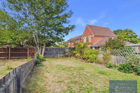 Back Garden