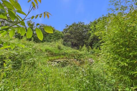 Wild Garden Pond