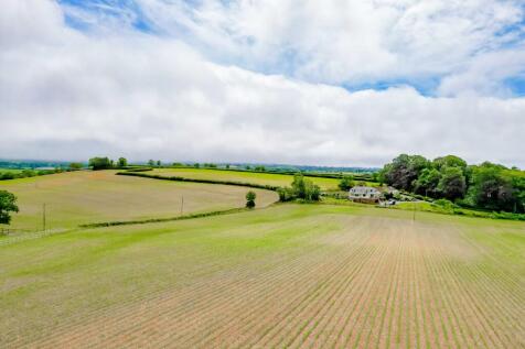 DJI 0796 T202608171403.jpg