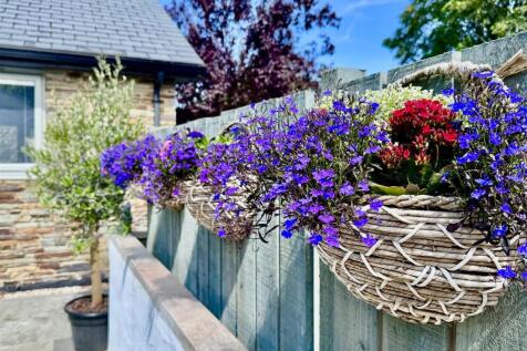Hanging baskets
