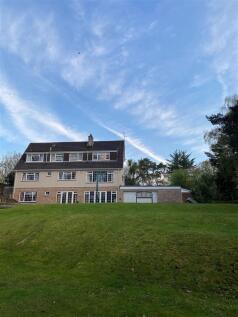 fern hollow back.jpg