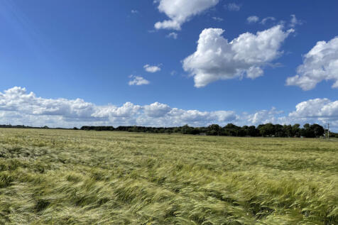 Arable Land For Sale