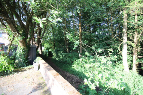 Woodland