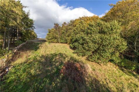 Expansive Land